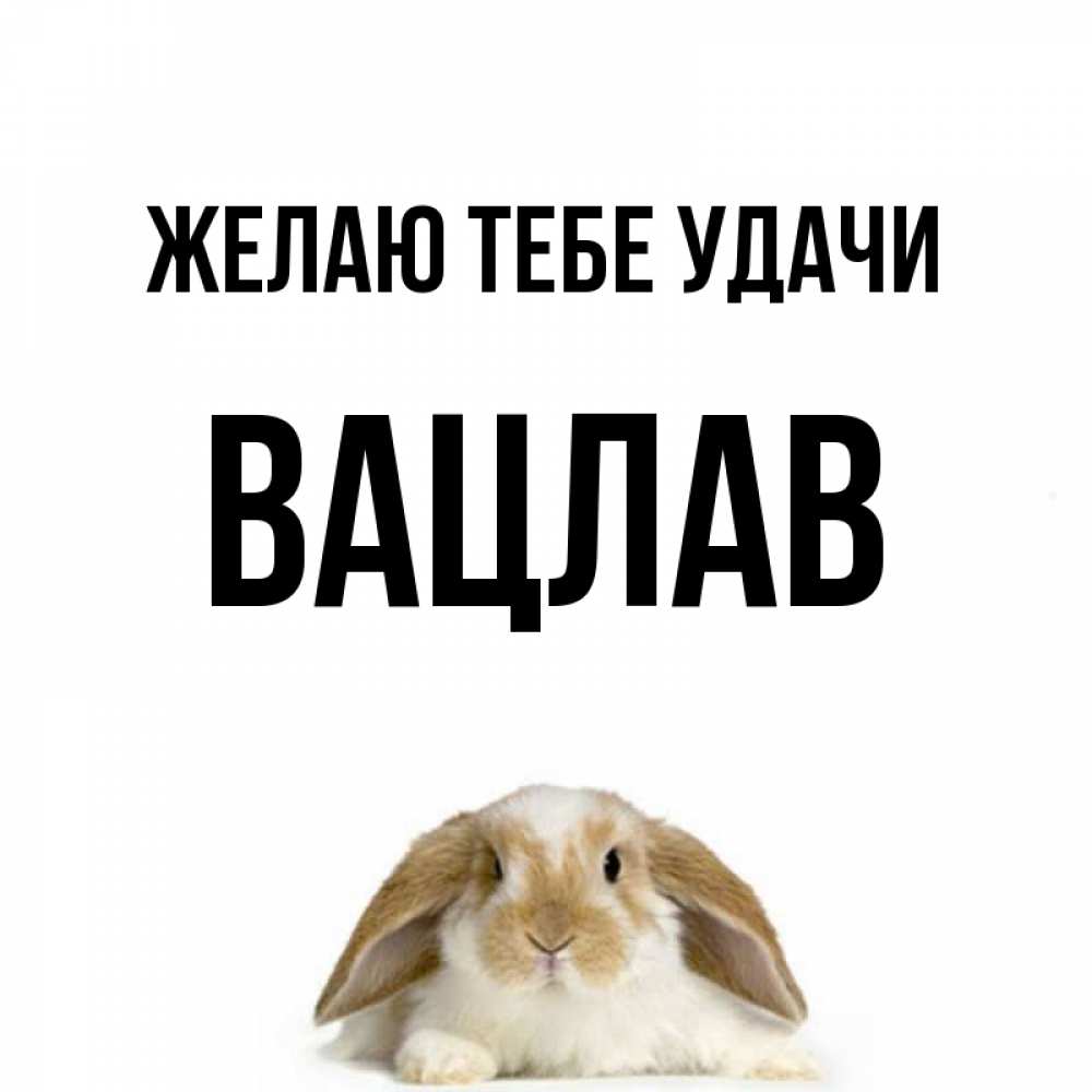 Открытка на каждый день с именем, Вацлав Желаю тебе удачи открытки с произвольным текстом который можно вставить в открытку и создать ее самостоятельно бесплатно онлайн Прикольная открытка с пожеланием онлайн скачать бесплатно 