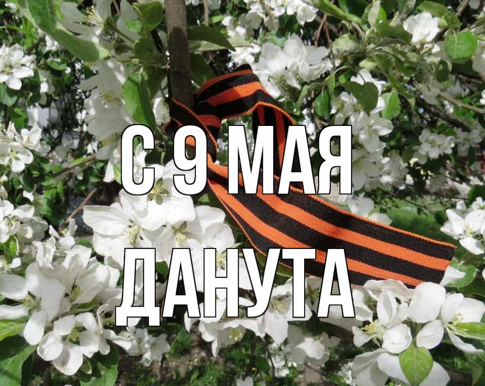 Открытка на каждый день с именем, Данута С 9 мая 9 мая Прикольная открытка с пожеланием онлайн скачать бесплатно 