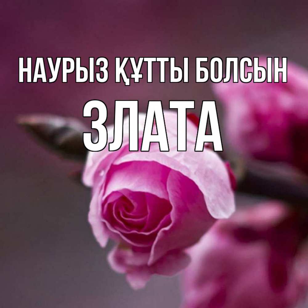 Открытка на каждый день с именем, Злата Наурыз құтты болсын весна Прикольная открытка с пожеланием онлайн скачать бесплатно 