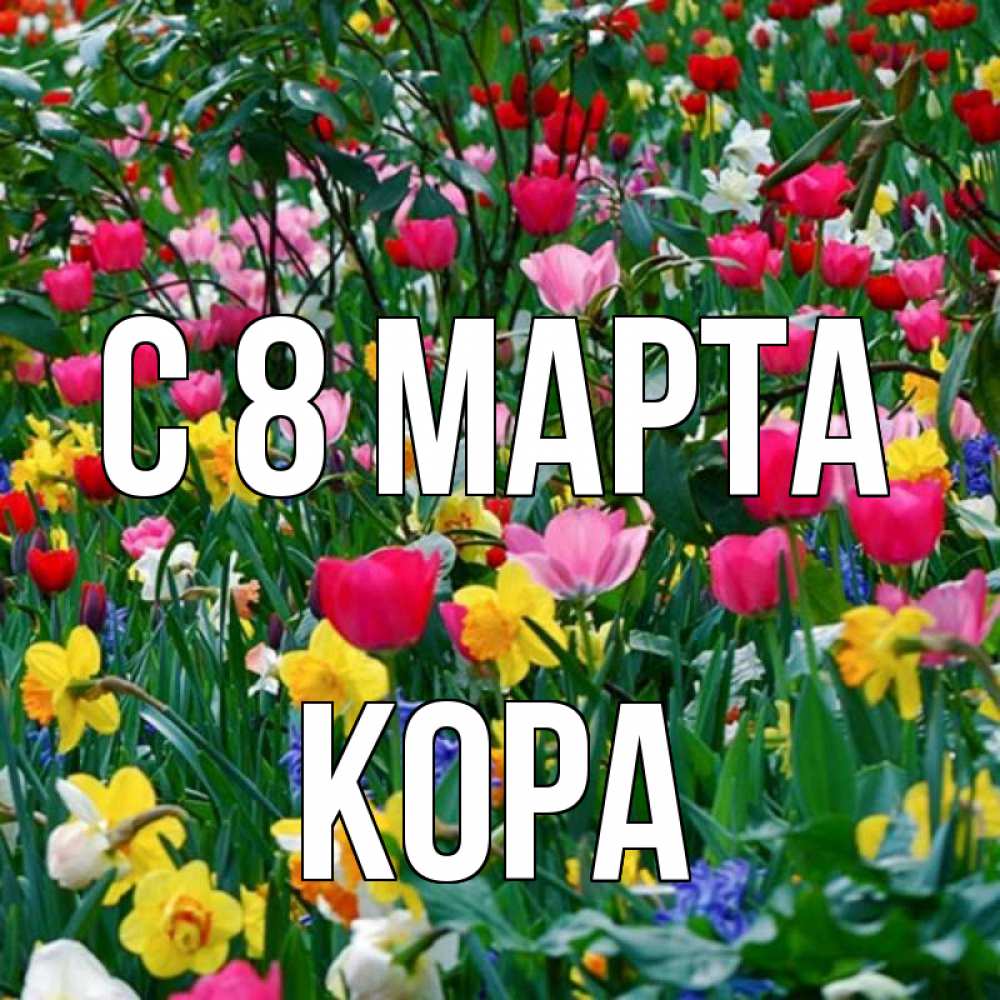 Открытка на каждый день с именем, Кора С 8 МАРТА с международным женским днем поздравления для женщины Прикольная открытка с пожеланием онлайн скачать бесплатно 