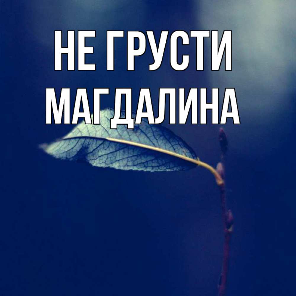 Открытка на каждый день с именем, Магдалина Не грусти растение Прикольная открытка с пожеланием онлайн скачать бесплатно 