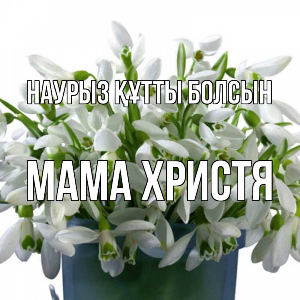 Открытка на каждый день с именем, Мама-Христя Наурыз құтты болсын цветы к наурызу Прикольная открытка с пожеланием онлайн скачать бесплатно 