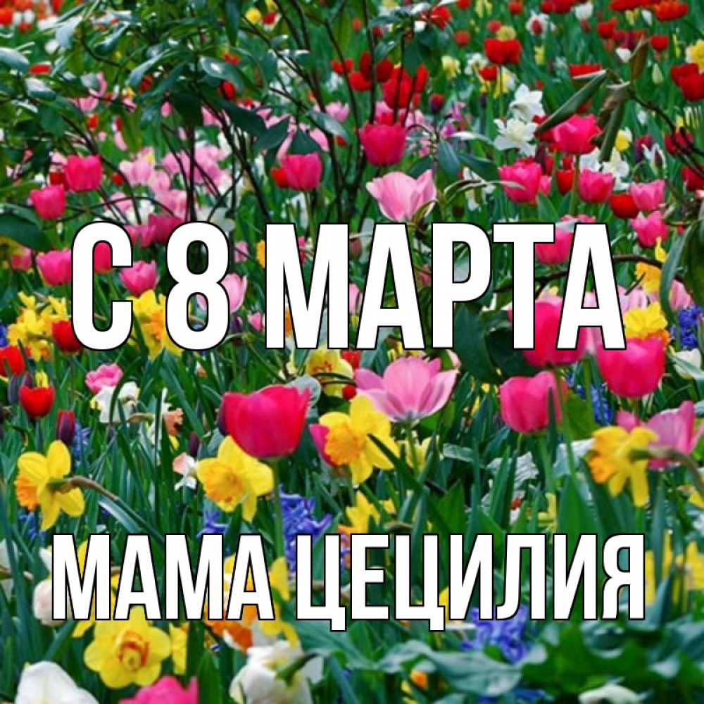 Открытка на каждый день с именем, Мама-Цецилия С 8 марта с международным женским днем поздравления для женщины Прикольная открытка с пожеланием онлайн скачать бесплатно 