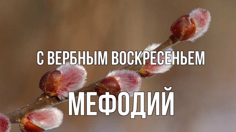 Открытка на каждый день с именем, Мефодий С вербным воскресеньем верба Прикольная открытка с пожеланием онлайн скачать бесплатно 