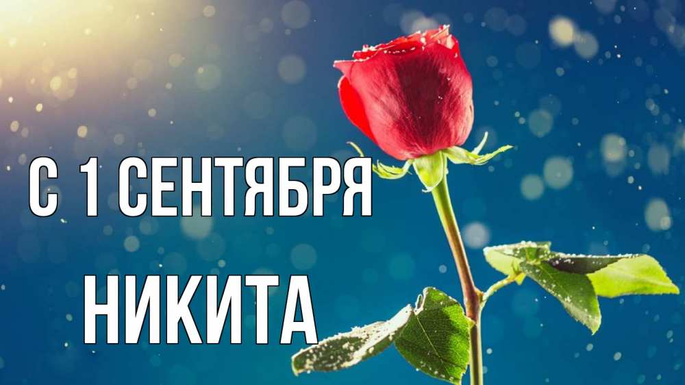 Открытка на каждый день с именем, Никита С 1 сентября с днем знаний Прикольная открытка с пожеланием онлайн скачать бесплатно 