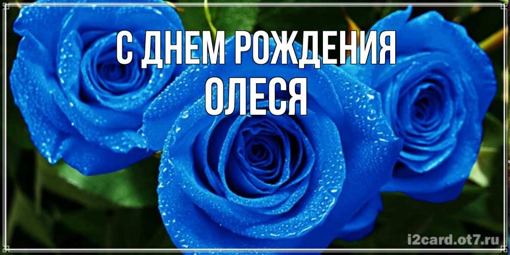 Открытка на каждый день с именем, ОЛЕСЯ С днем рождения розы с синим цветом Прикольная открытка с пожеланием онлайн скачать бесплатно 