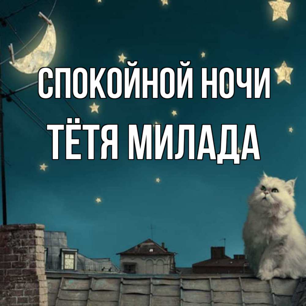 Открытка на каждый день с именем, Тётя-Милада Спокойной ночи белый кот сидит на крыше Прикольная открытка с пожеланием онлайн скачать бесплатно 