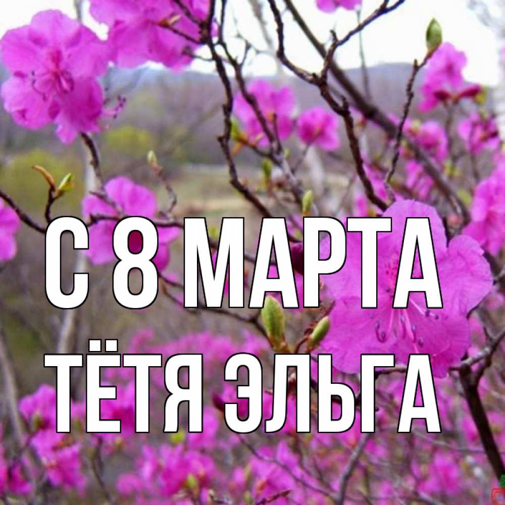 Открытка на каждый день с именем, Тётя-Эльга С 8 МАРТА международный женский день Прикольная открытка с пожеланием онлайн скачать бесплатно 