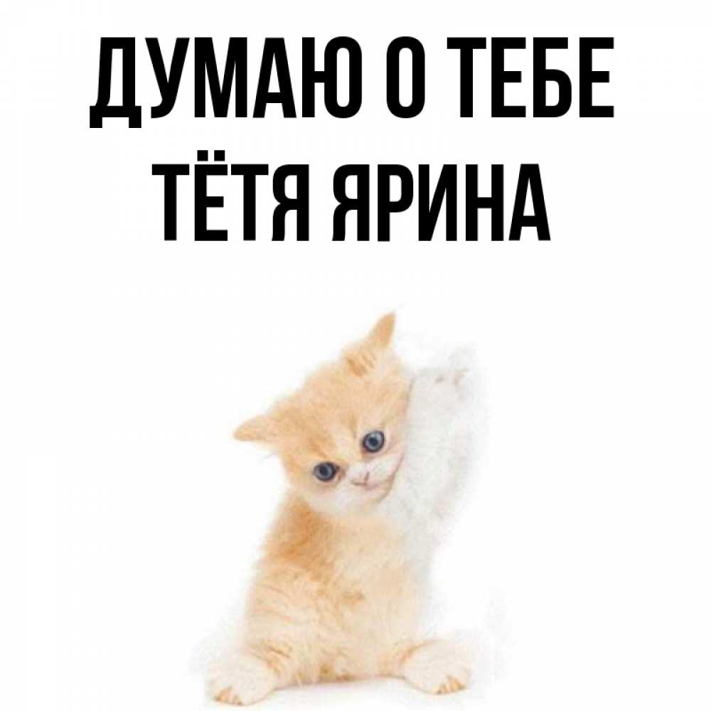 Открытка на каждый день с именем, Тётя-Ярина Думаю о тебе зверушки и милота Прикольная открытка с пожеланием онлайн скачать бесплатно 