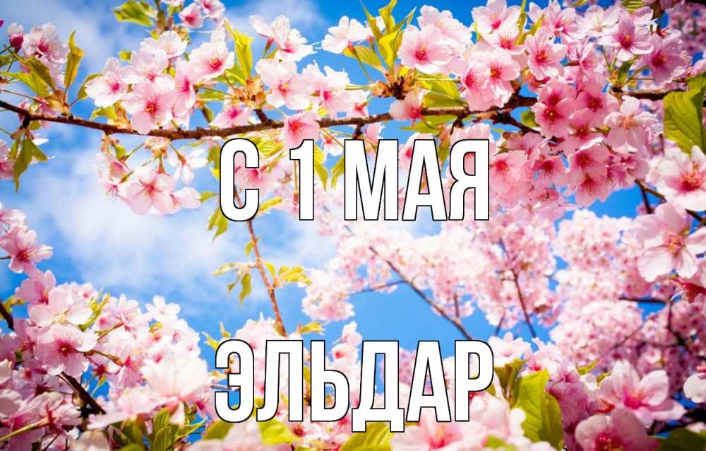 Открытка на каждый день с именем, Эльдар С 1 мая С 1 мая Прикольная открытка с пожеланием онлайн скачать бесплатно 