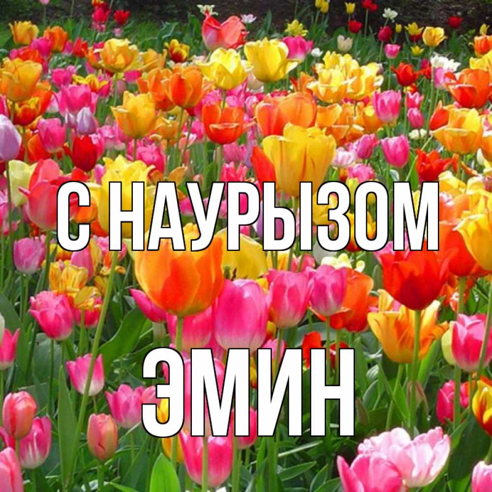 Открытка на каждый день с именем, Эмин С наурызом праздник весны наурыз 4 Прикольная открытка с пожеланием онлайн скачать бесплатно 
