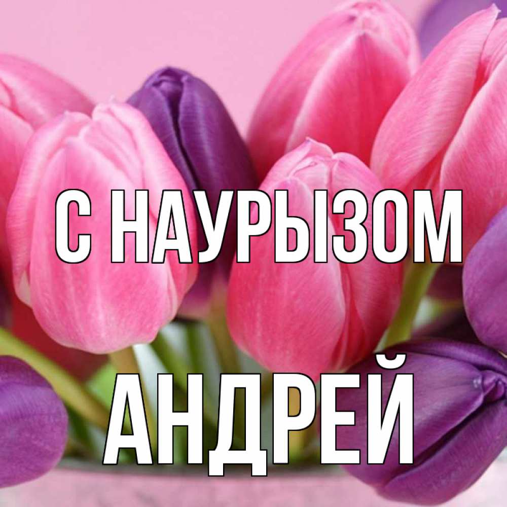 Открытка на каждый день с именем, Андрей С наурызом маме 1 Прикольная открытка с пожеланием онлайн скачать бесплатно 