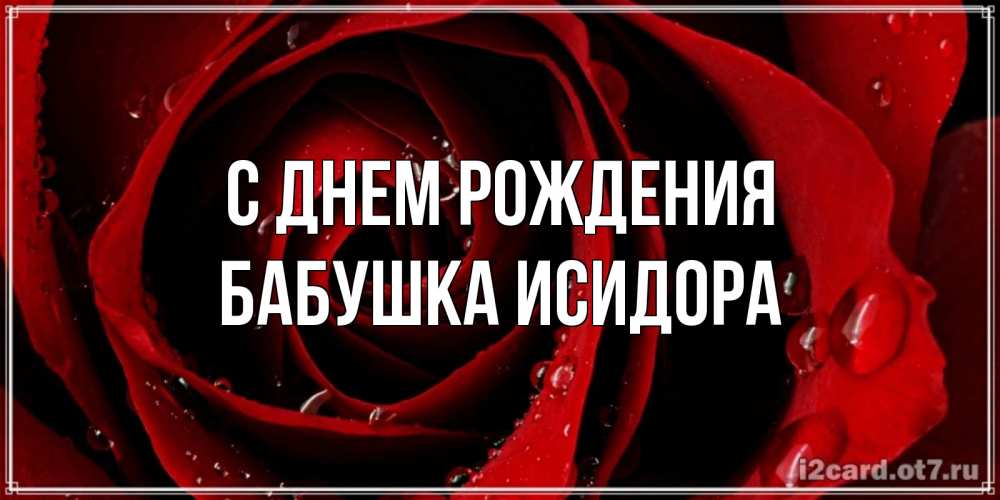 Открытка на каждый день с именем, Бабушка-Исидора С днем рождения крупная бордовая роза Прикольная открытка с пожеланием онлайн скачать бесплатно 