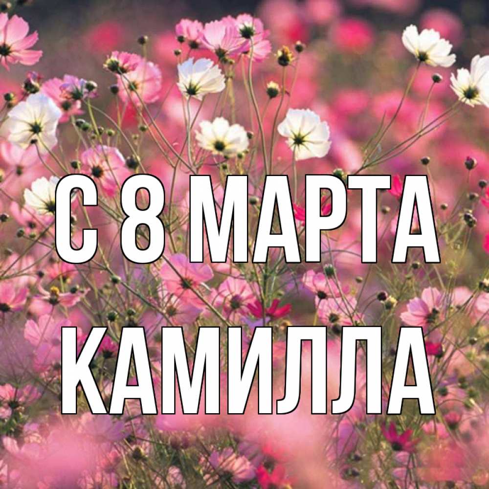 Открытка на каждый день с именем, Камилла С 8 МАРТА красиво 1 Прикольная открытка с пожеланием онлайн скачать бесплатно 