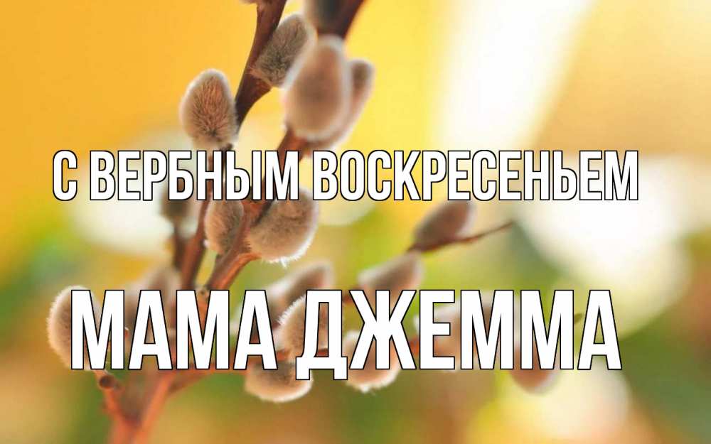 Открытка на каждый день с именем, Мама-Джемма С вербным воскресеньем верба Прикольная открытка с пожеланием онлайн скачать бесплатно 