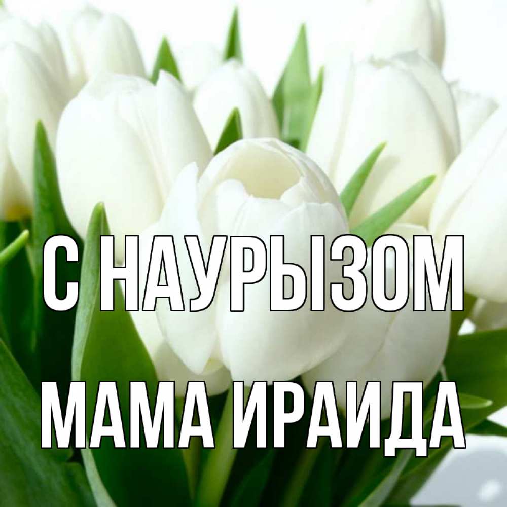 Открытка на каждый день с именем, Мама-Ираида С наурызом цветы Прикольная открытка с пожеланием онлайн скачать бесплатно 