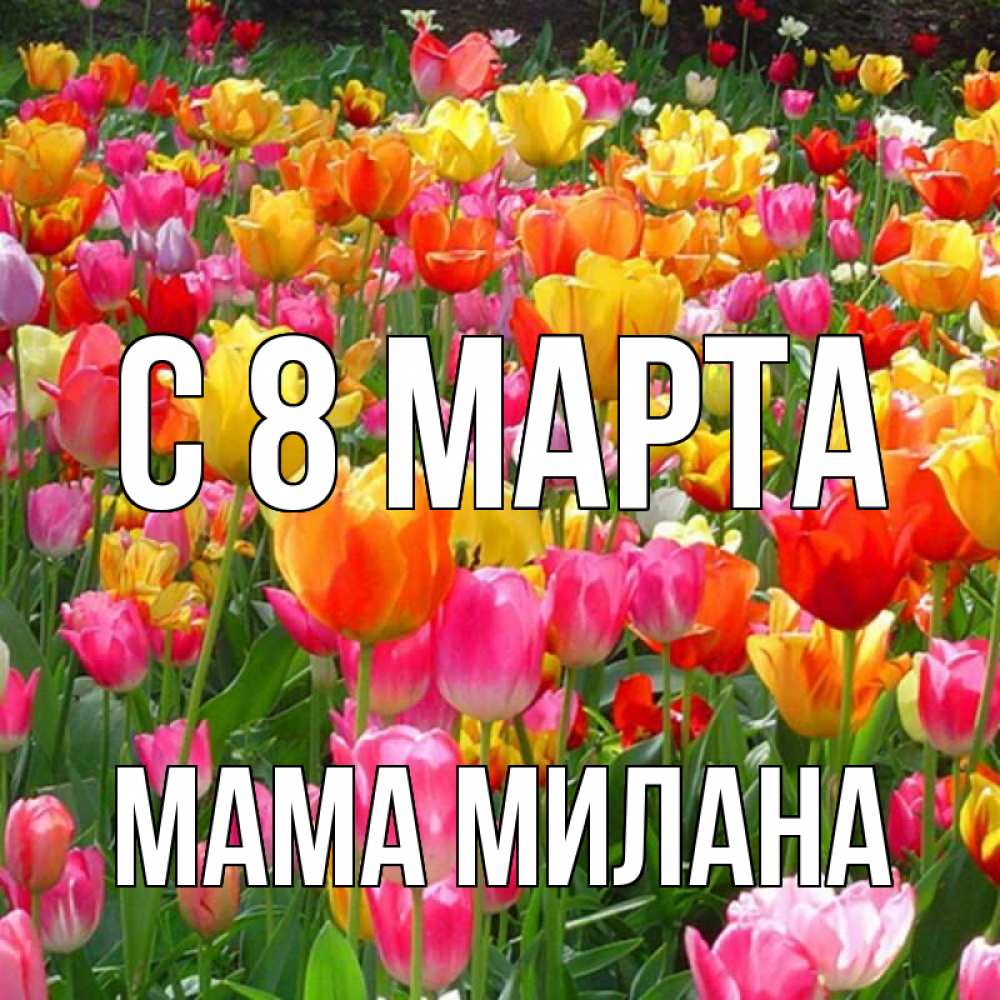 Открытка на каждый день с именем, Мама-Милана С 8 МАРТА на международный женский день Прикольная открытка с пожеланием онлайн скачать бесплатно 
