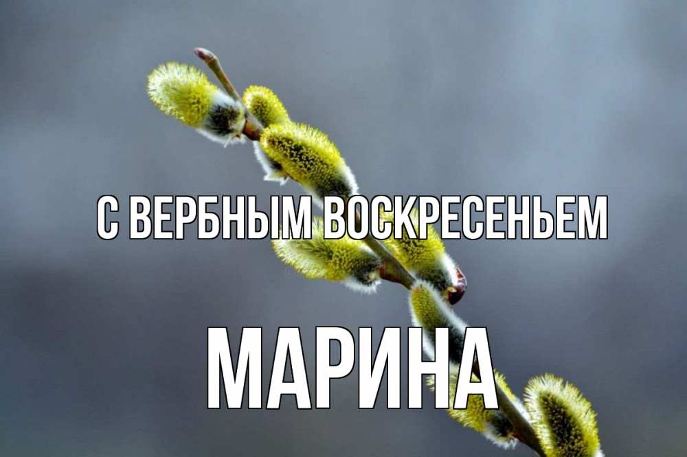 Открытка на каждый день с именем, Марина С вербным воскресеньем верба Прикольная открытка с пожеланием онлайн скачать бесплатно 
