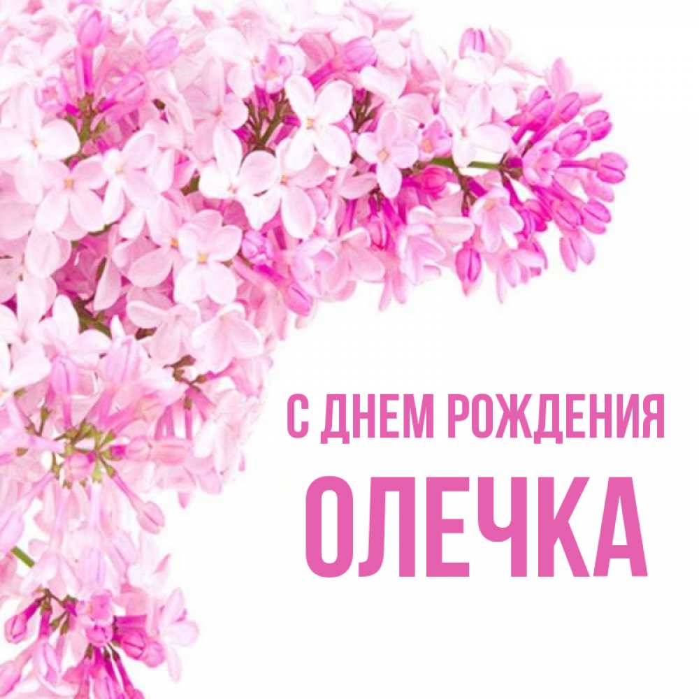Открытка на каждый день с именем, Олечка С днем рождения Сирень на белом фоне Прикольная открытка с пожеланием онлайн скачать бесплатно 