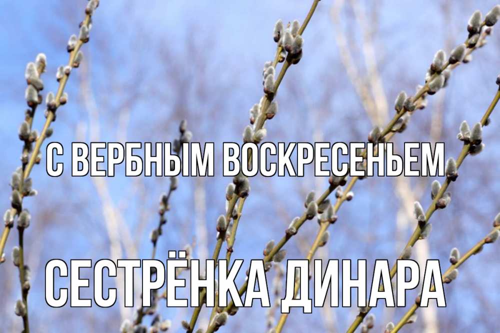 Открытка на каждый день с именем, Сестрёнка-Динара С вербным воскресеньем верба Прикольная открытка с пожеланием онлайн скачать бесплатно 