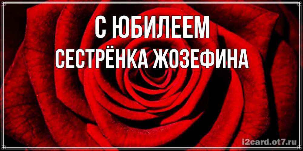 Открытка на каждый день с именем, Сестрёнка-Жозефина С юбилеем алая роза Прикольная открытка с пожеланием онлайн скачать бесплатно 