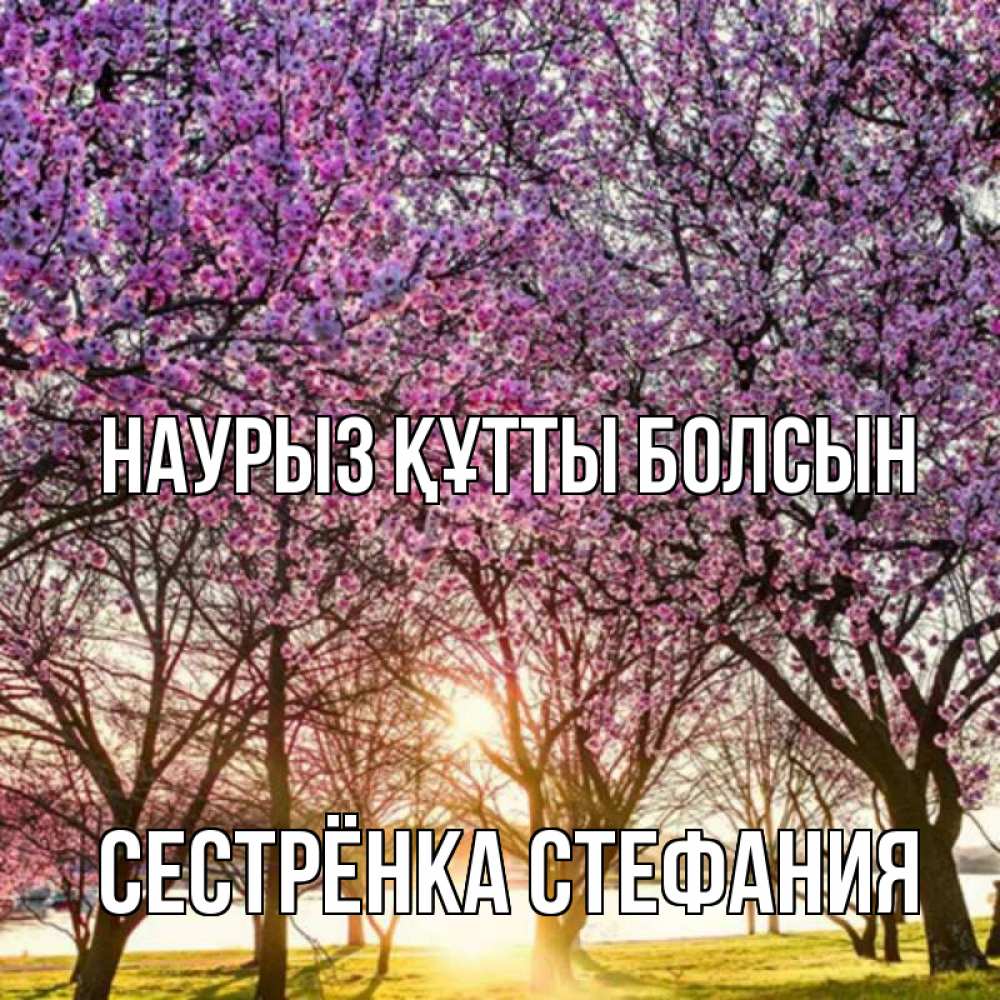 Открытка на каждый день с именем, Сестрёнка-Стефания Наурыз құтты болсын наурыз Прикольная открытка с пожеланием онлайн скачать бесплатно 