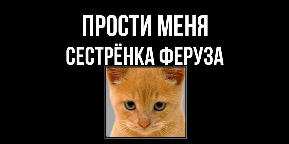 Открытка на каждый день с именем, Сестрёнка-Феруза Прости меня рыжий грустный кот просит прощения Прикольная открытка с пожеланием онлайн скачать бесплатно 