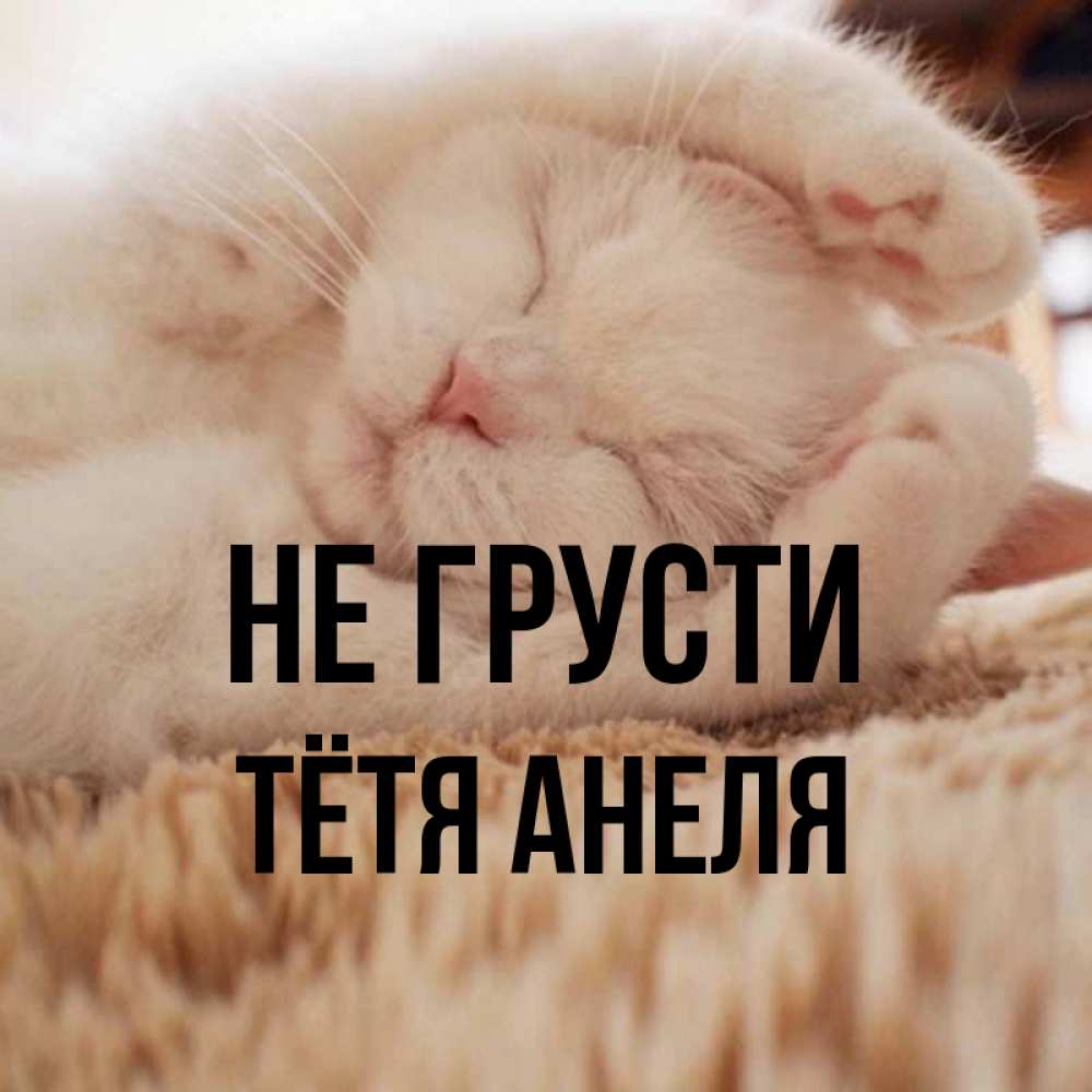 Открытка на каждый день с именем, Тётя-Анеля Не грусти Котенок спит Прикольная открытка с пожеланием онлайн скачать бесплатно 