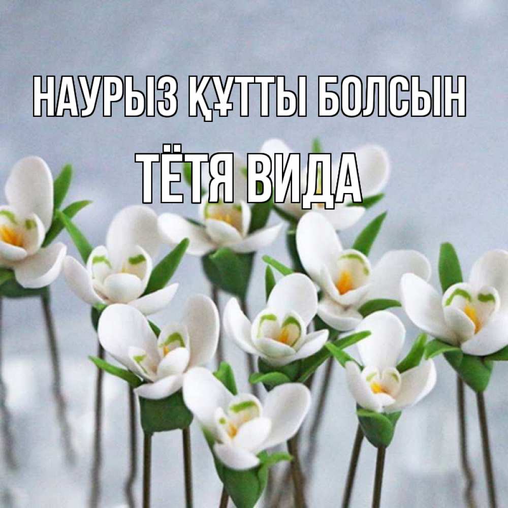 Открытка на каждый день с именем, Тётя-Вида Наурыз құтты болсын весенние цветы Прикольная открытка с пожеланием онлайн скачать бесплатно 