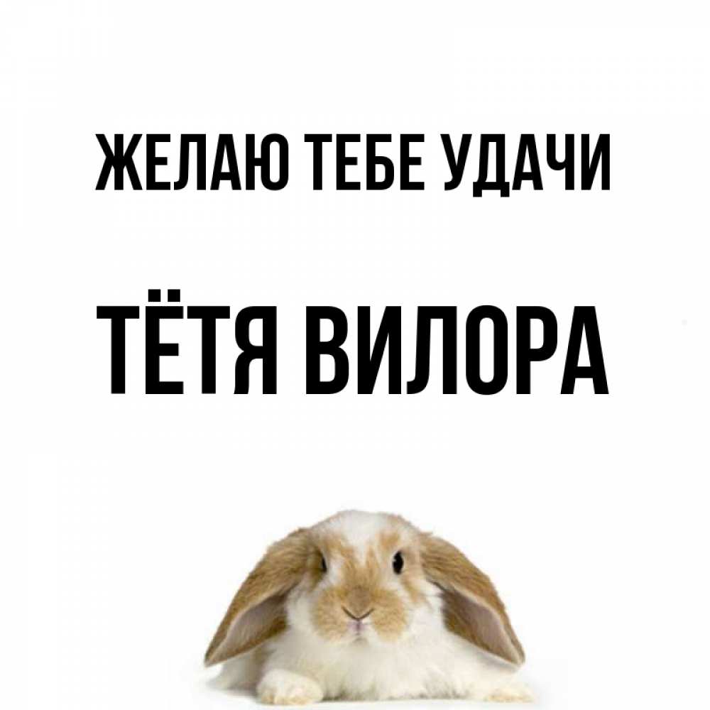 Открытка на каждый день с именем, Тётя-Вилора Желаю тебе удачи открытки с произвольным текстом который можно вставить в открытку и создать ее самостоятельно бесплатно онлайн Прикольная открытка с пожеланием онлайн скачать бесплатно 