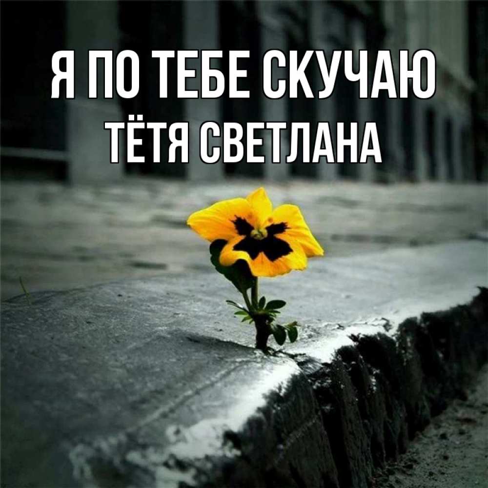 Открытка на каждый день с именем, Тётя-Светлана Я по тебе скучаю надеюсь будет лучше Прикольная открытка с пожеланием онлайн скачать бесплатно 