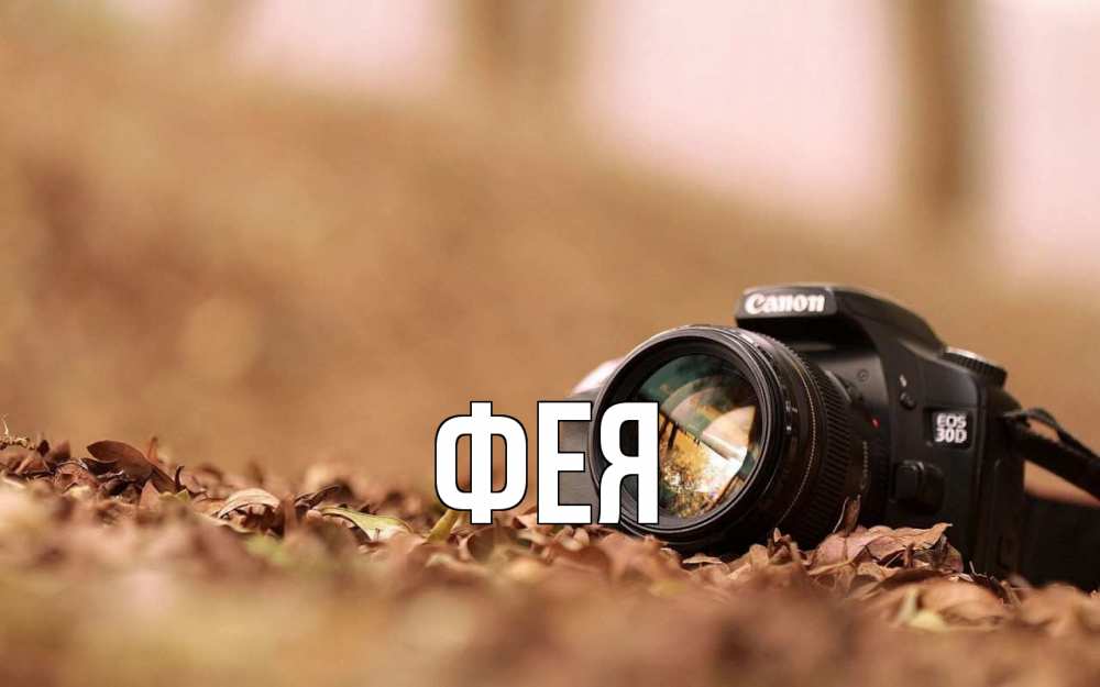 Открытка на каждый день с именем, Фея Главная с днем фотографа Прикольная открытка с пожеланием онлайн скачать бесплатно 
