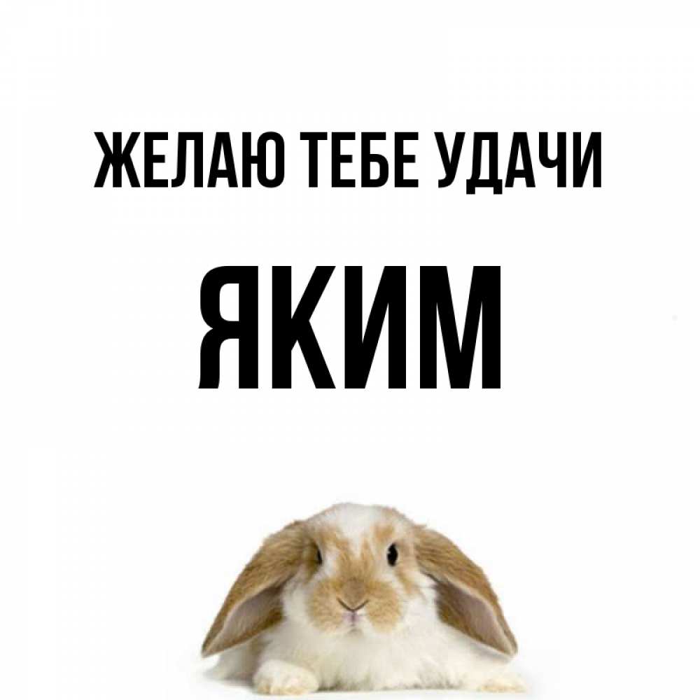 Открытка на каждый день с именем, Яким Желаю тебе удачи открытки с произвольным текстом который можно вставить в открытку и создать ее самостоятельно бесплатно онлайн Прикольная открытка с пожеланием онлайн скачать бесплатно 