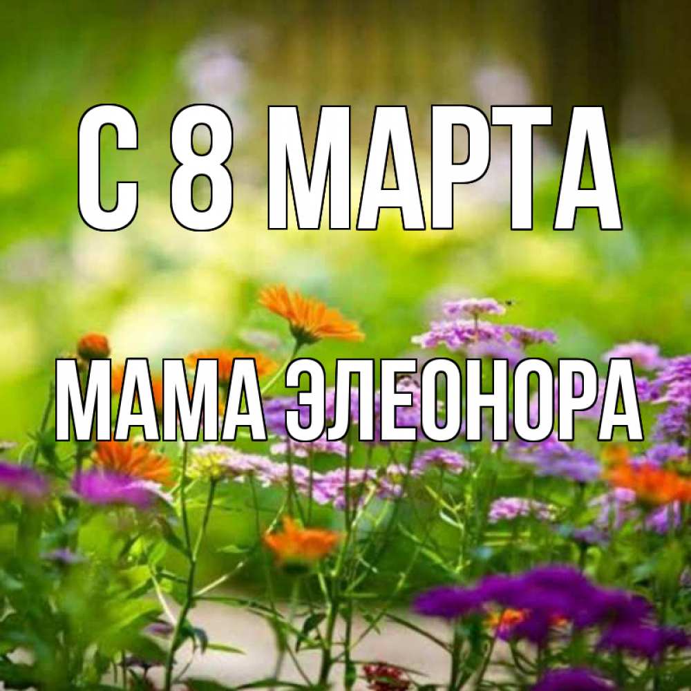 Открытка на каждый день с именем, Мама-Элеонора С 8 марта цветы Прикольная открытка с пожеланием онлайн скачать бесплатно 