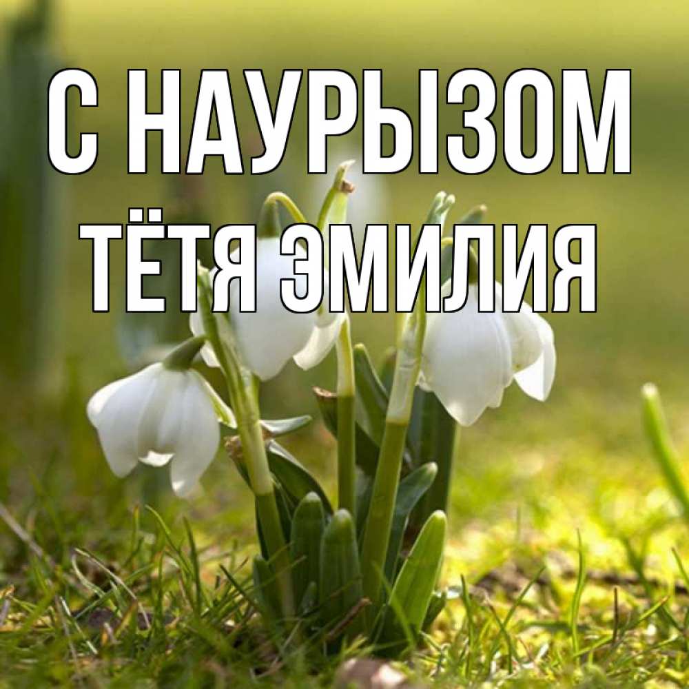 Открытка на каждый день с именем, Тётя-Эмилия С наурызом ранние цветы 2 Прикольная открытка с пожеланием онлайн скачать бесплатно 