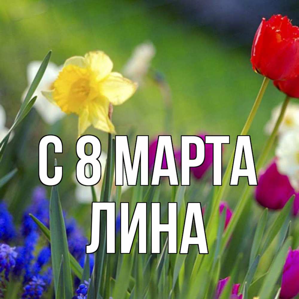Открытка на каждый день с именем, Лина С 8 МАРТА международный женский день 3 Прикольная открытка с пожеланием онлайн скачать бесплатно 