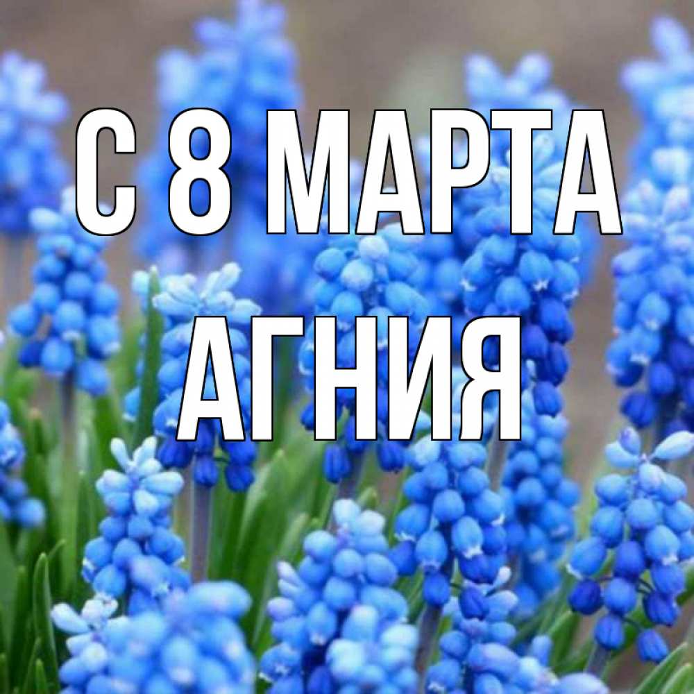 Открытка на каждый день с именем, Агния С 8 МАРТА Поздравительная открытка для женщин с цветами на праздничную дату Прикольная открытка с пожеланием онлайн скачать бесплатно 