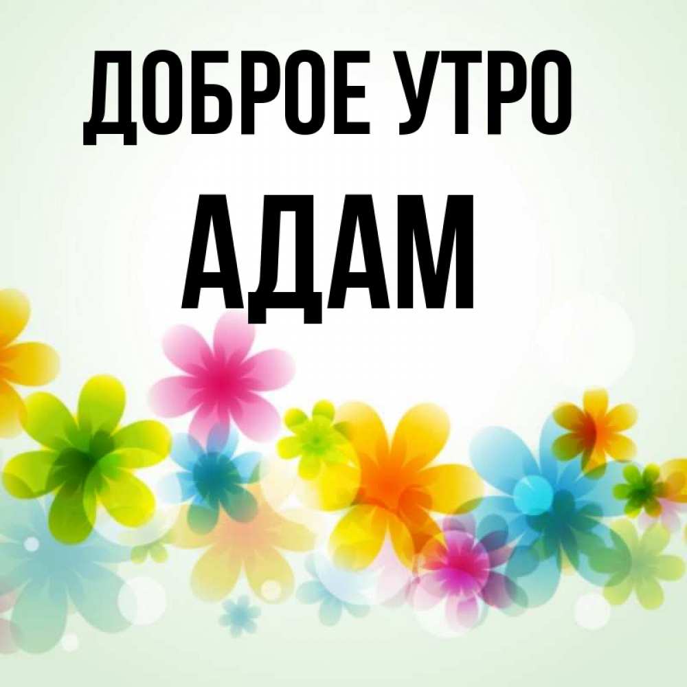 Открытка на каждый день с именем, Адам Доброе утро позитивные цветочки Прикольная открытка с пожеланием онлайн скачать бесплатно 
