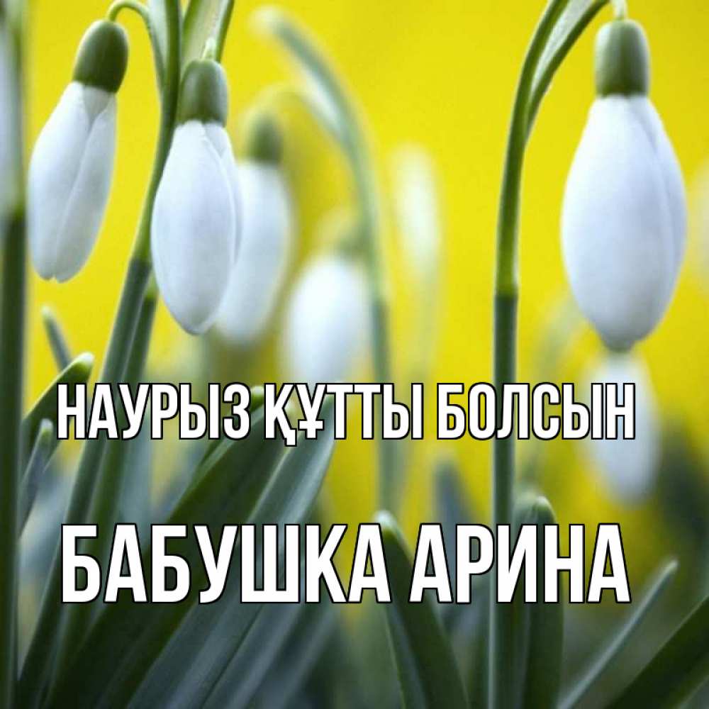 Открытка на каждый день с именем, Бабушка-Арина Наурыз құтты болсын весенние цветы Прикольная открытка с пожеланием онлайн скачать бесплатно 