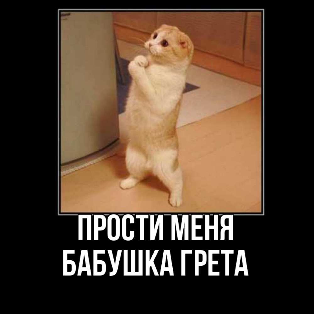 Открытка на каждый день с именем, Бабушка-Грета Прости меня открытка с милым несчастным котиком просящим прощения Прикольная открытка с пожеланием онлайн скачать бесплатно 