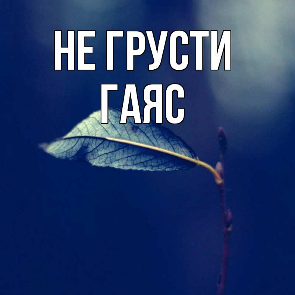 Открытка на каждый день с именем, Гаяс Не грусти растение Прикольная открытка с пожеланием онлайн скачать бесплатно 