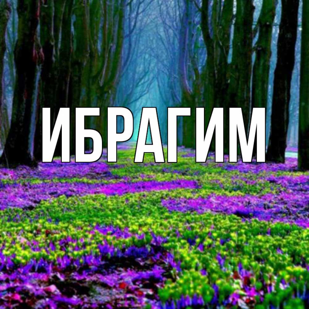 Открытка на каждый день с именем, Ибрагим Главная фиолетовые цветы в лесу 1 Прикольная открытка с пожеланием онлайн скачать бесплатно 