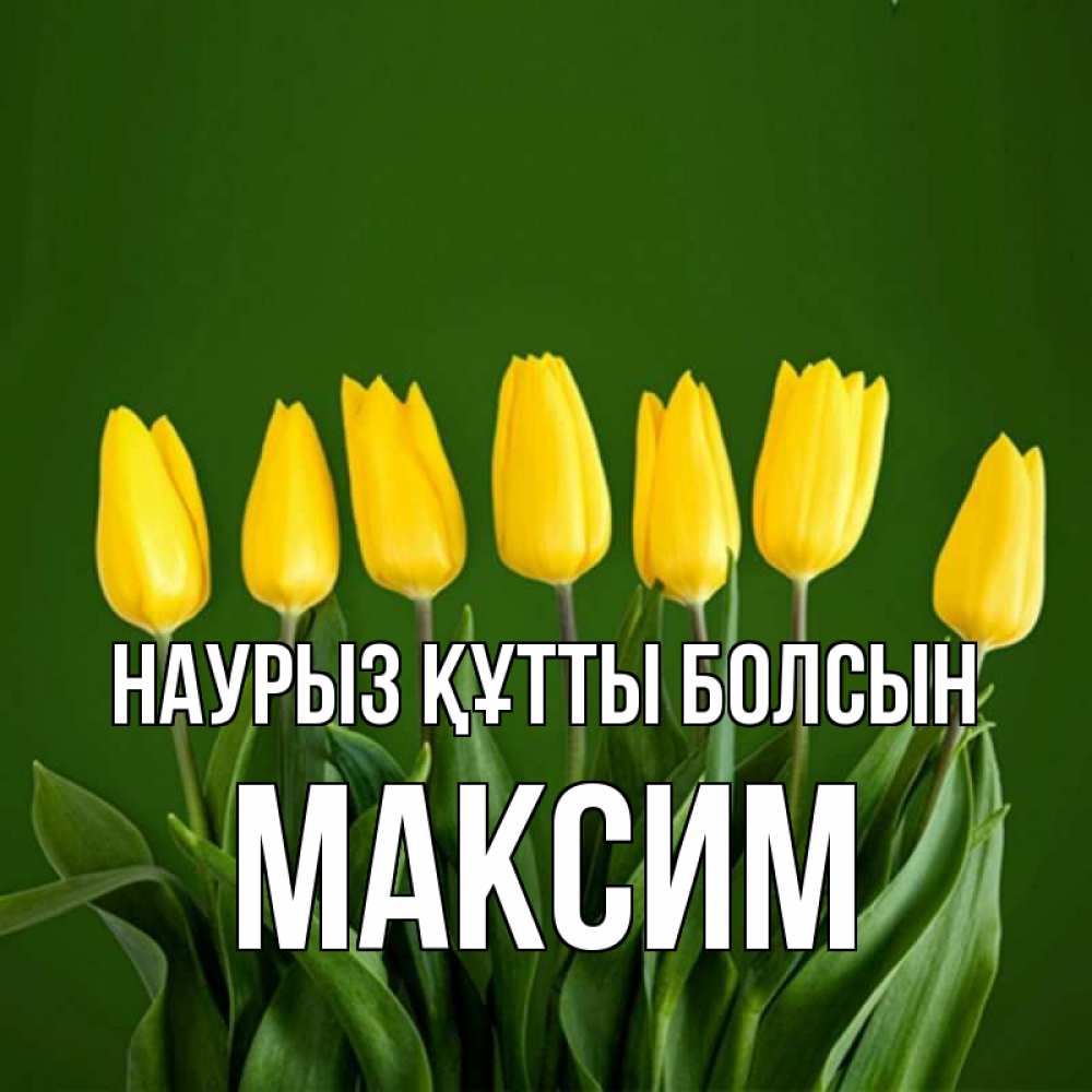 Открытка на каждый день с именем, Максим Наурыз құтты болсын желтого цвета 3 Прикольная открытка с пожеланием онлайн скачать бесплатно 