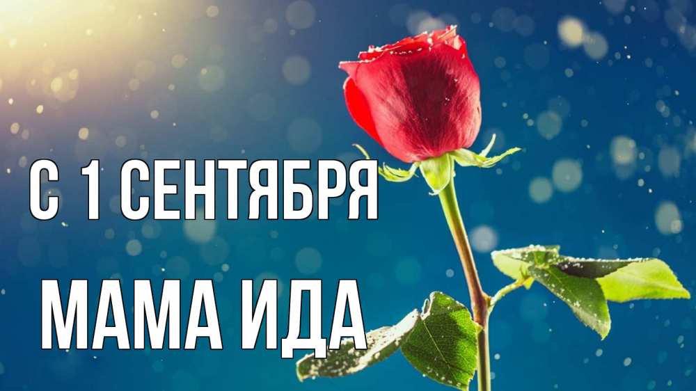 Открытка на каждый день с именем, Мама-Ида С 1 сентября с днем знаний Прикольная открытка с пожеланием онлайн скачать бесплатно 
