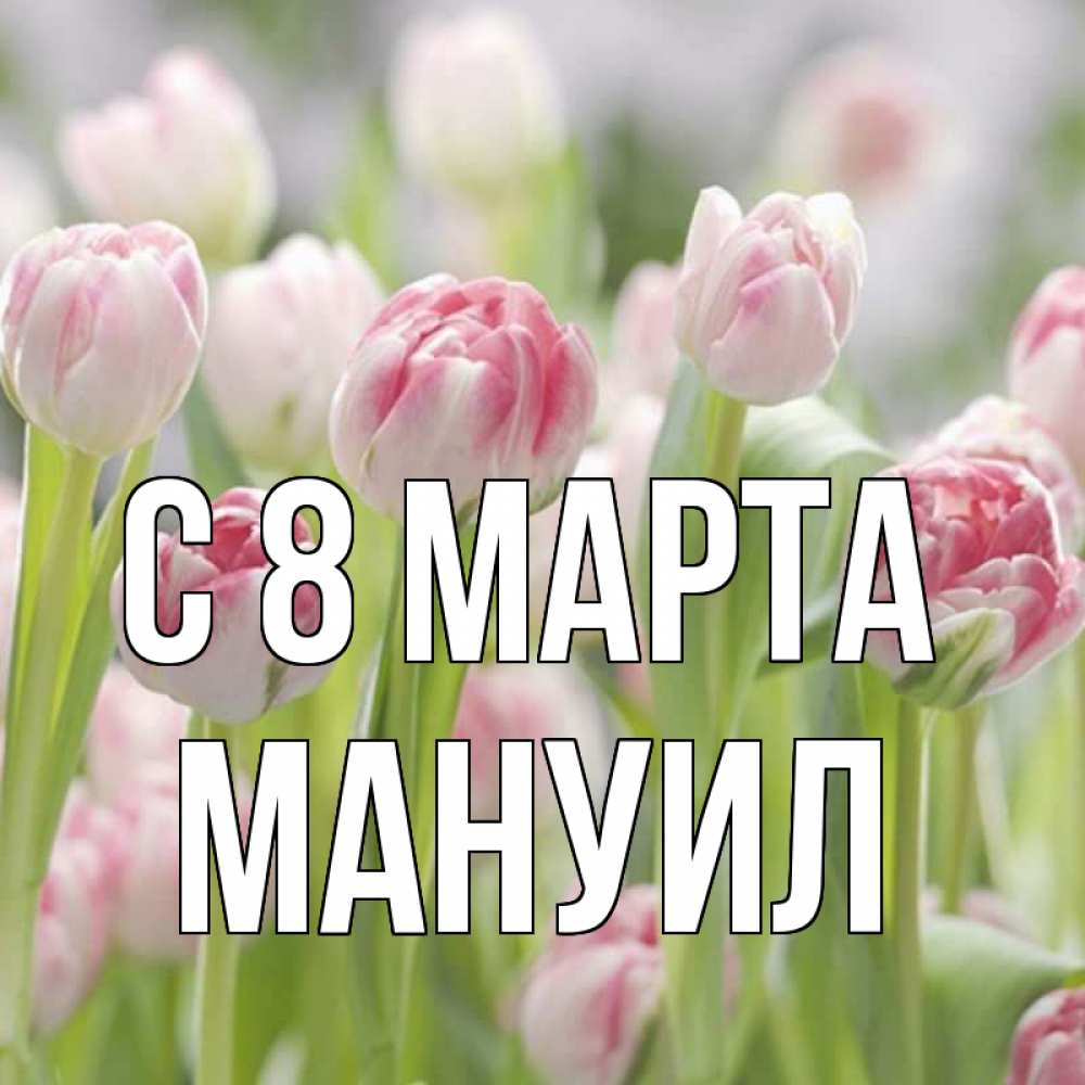 Открытка на каждый день с именем, Мануил С 8 МАРТА цветы Прикольная открытка с пожеланием онлайн скачать бесплатно 
