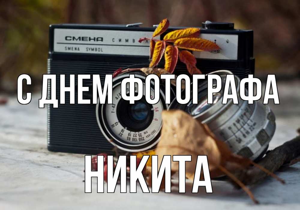 Открытка на каждый день с именем, Никита С днем фотографа с днем фотографа Прикольная открытка с пожеланием онлайн скачать бесплатно 