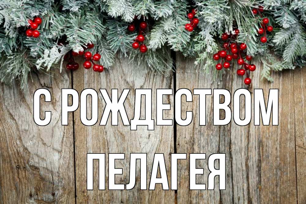 Открытка на каждый день с именем, Пелагея С рождеством с рождеством Прикольная открытка с пожеланием онлайн скачать бесплатно 