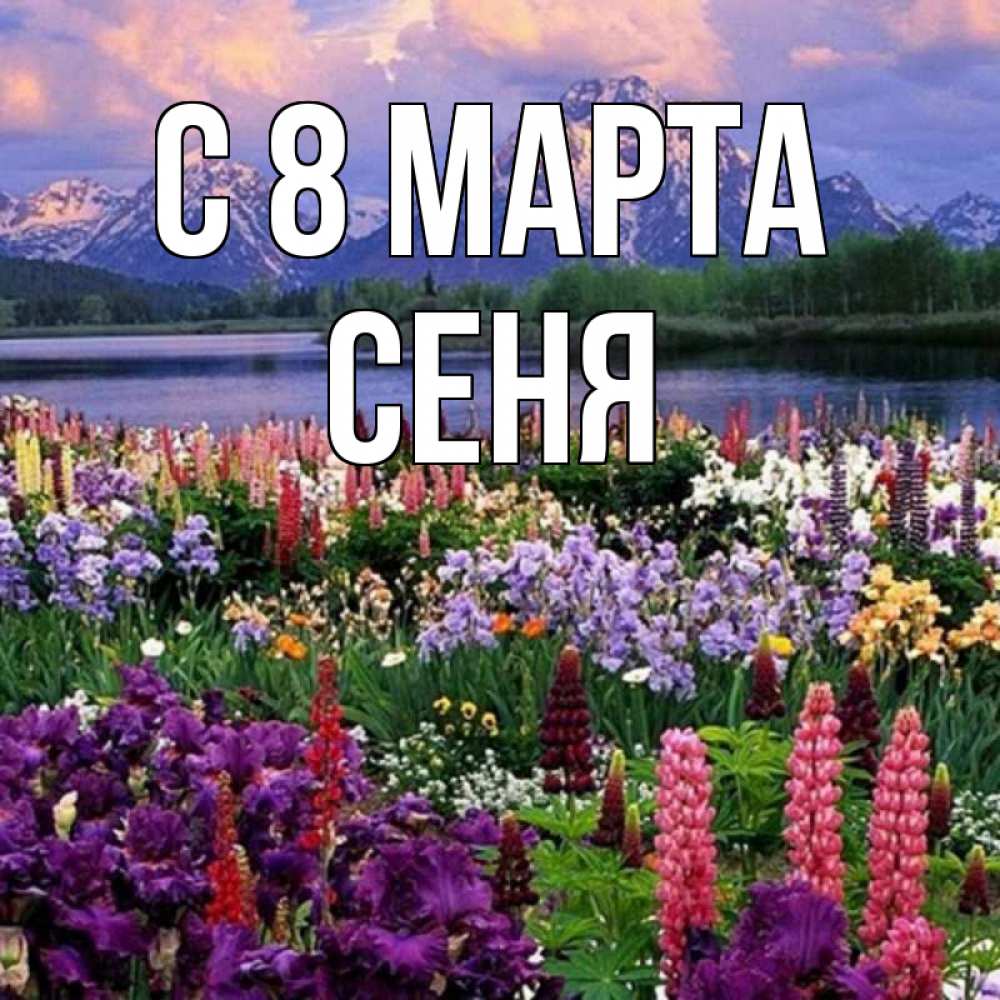 Открытка на каждый день с именем, Сеня С 8 МАРТА международный женский день Прикольная открытка с пожеланием онлайн скачать бесплатно 