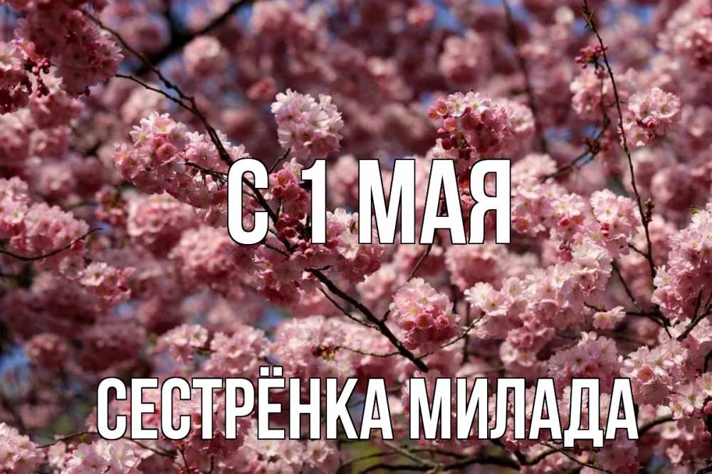 Открытка на каждый день с именем, Сестрёнка-Милада С 1 мая С 1 мая Прикольная открытка с пожеланием онлайн скачать бесплатно 