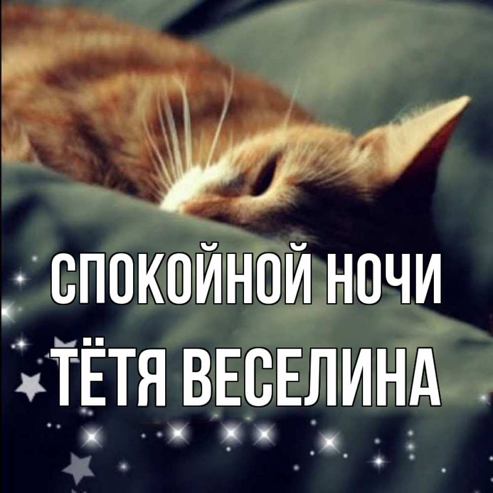 Открытка на каждый день с именем, Тётя-Веселина Спокойной ночи кроватка Прикольная открытка с пожеланием онлайн скачать бесплатно 